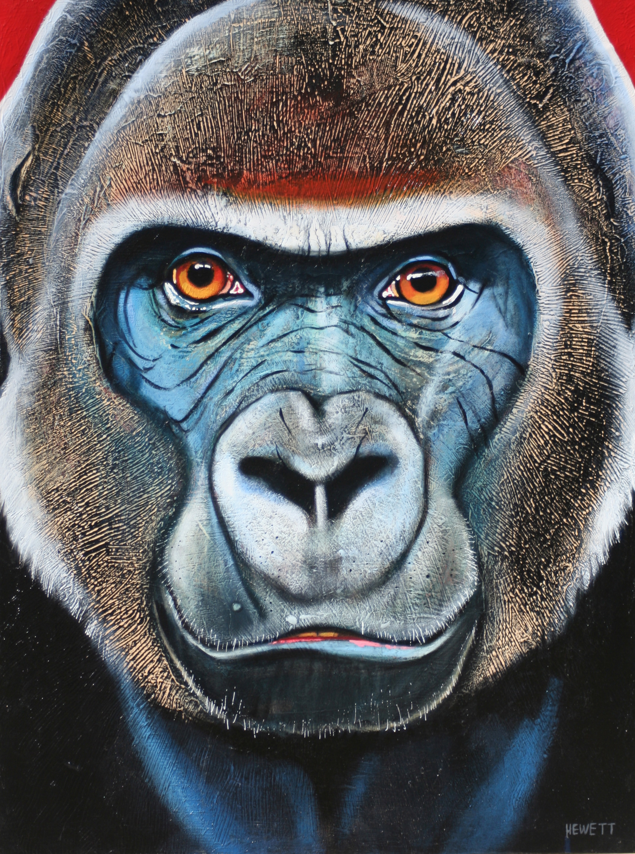 Gorilla