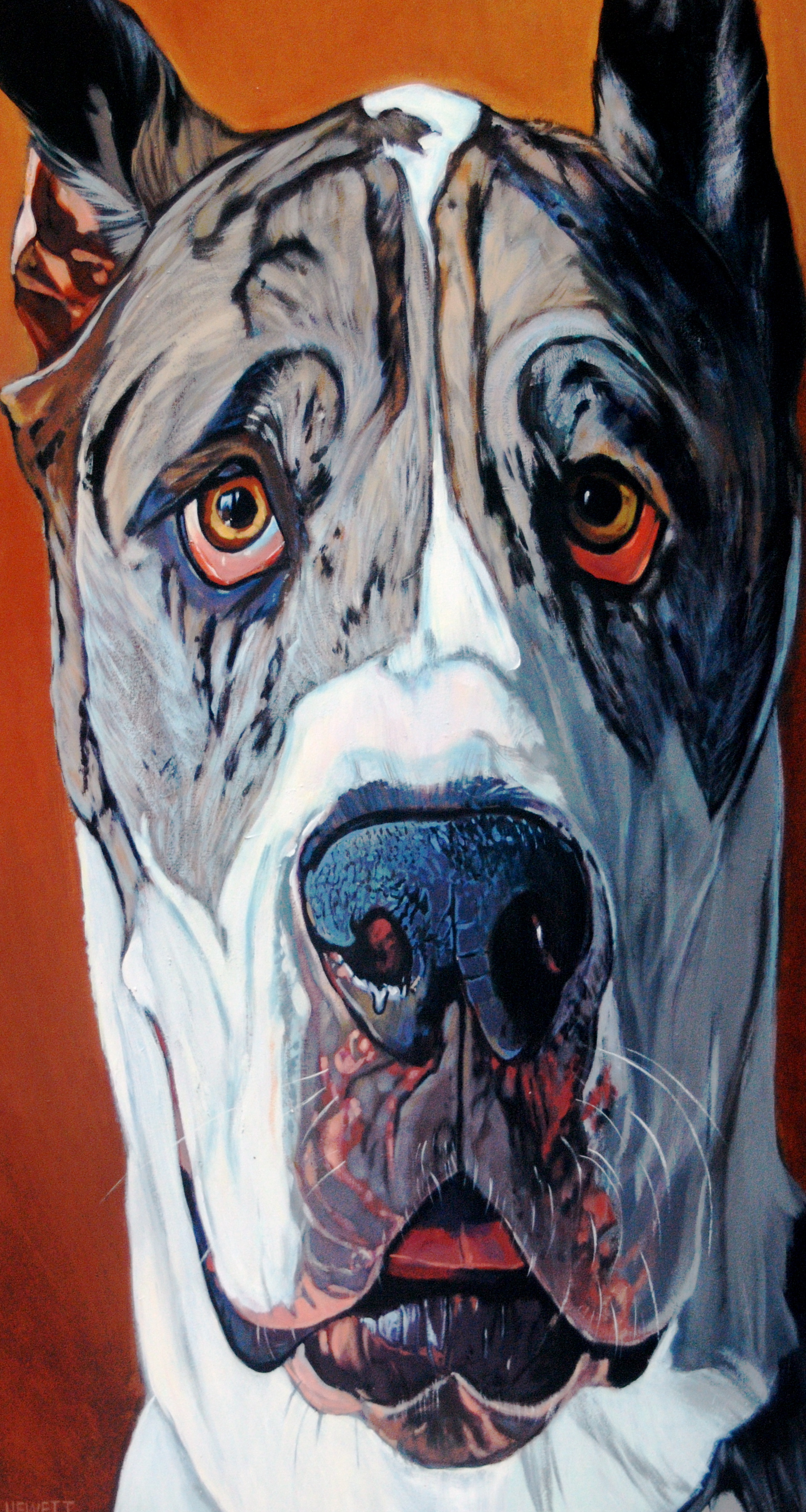 Great Dane