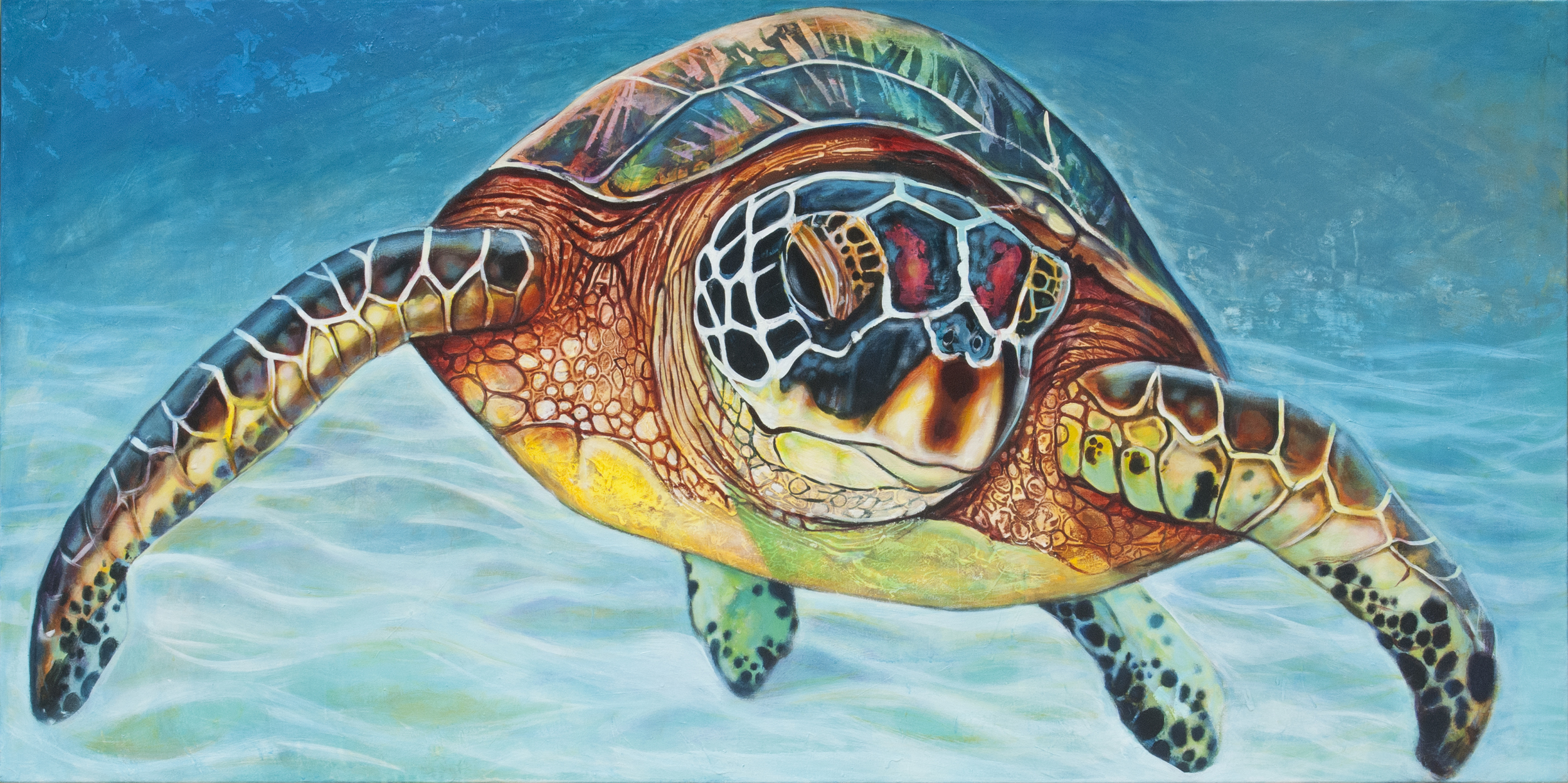 Curious Sea Turtle