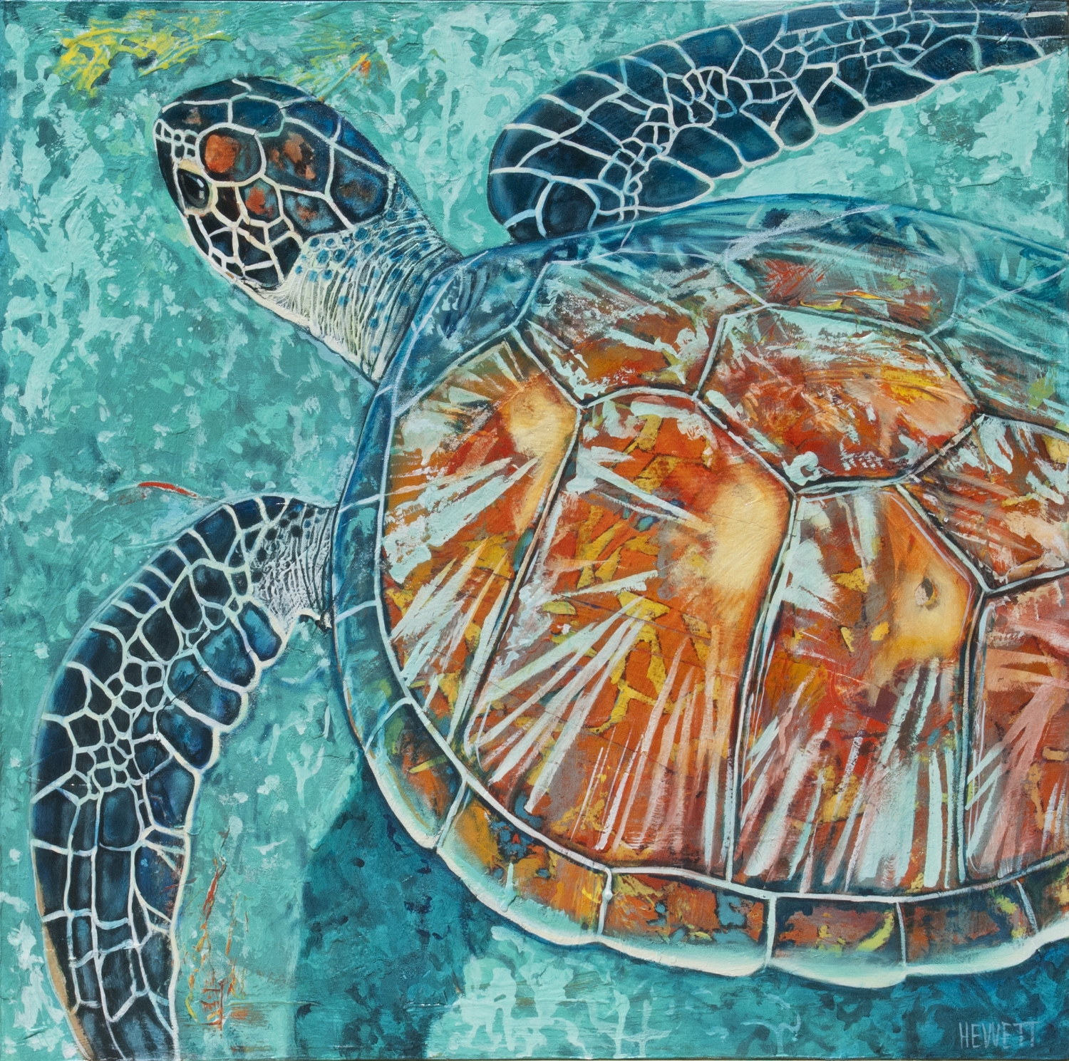 Sea Turtle, from Above