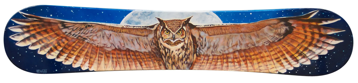 OwlSnowboard-silo.jpg