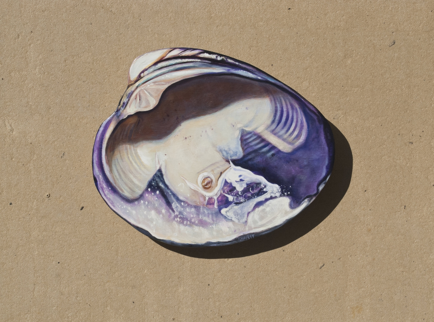 Wampum, large