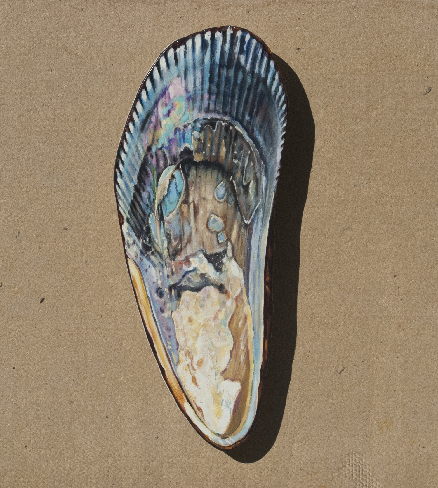 Mussel