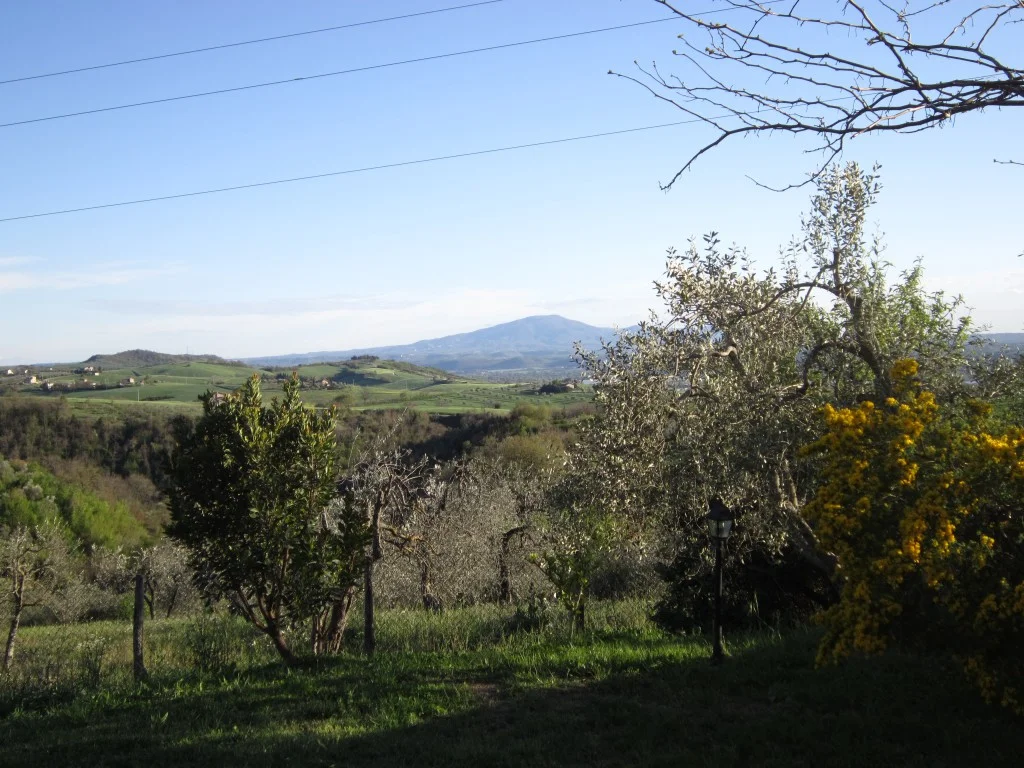 042-2-1024x768.jpg