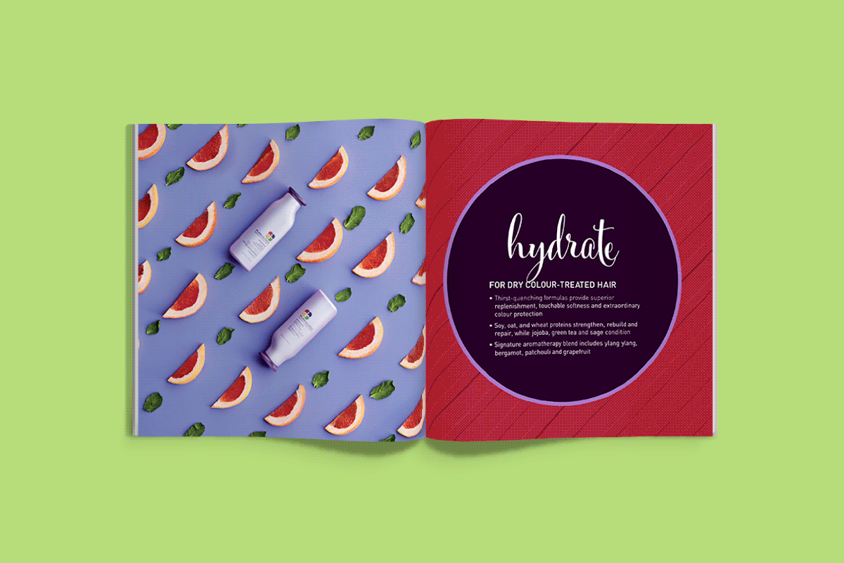 PP_Brochure_1.gif