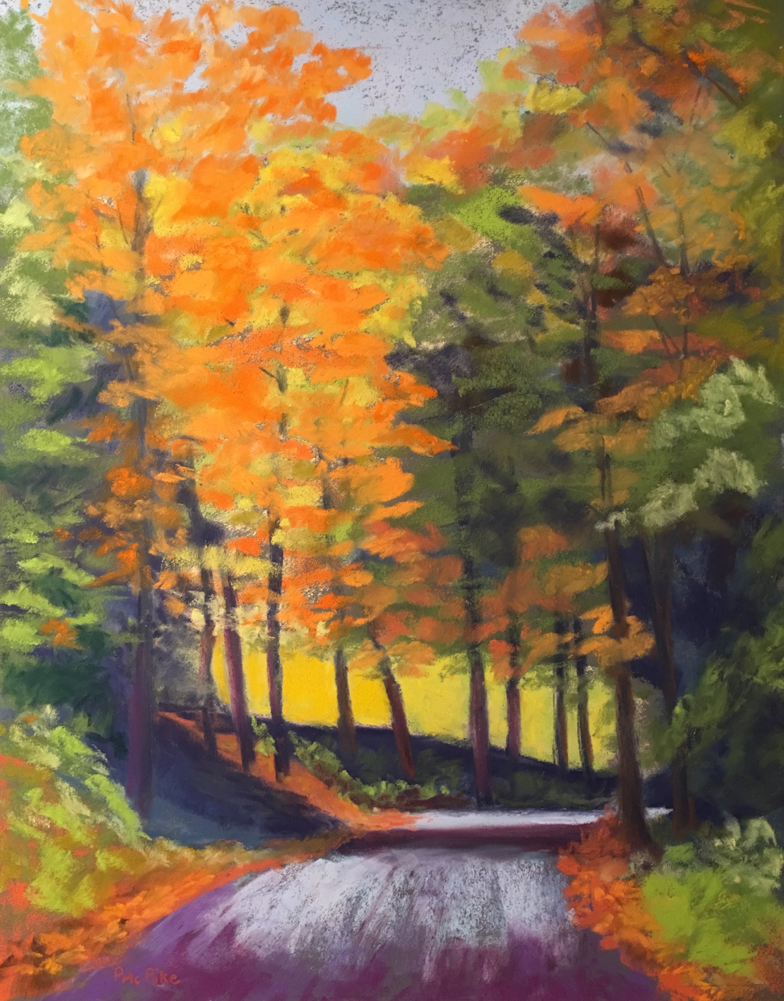 Pleasant Valley Road