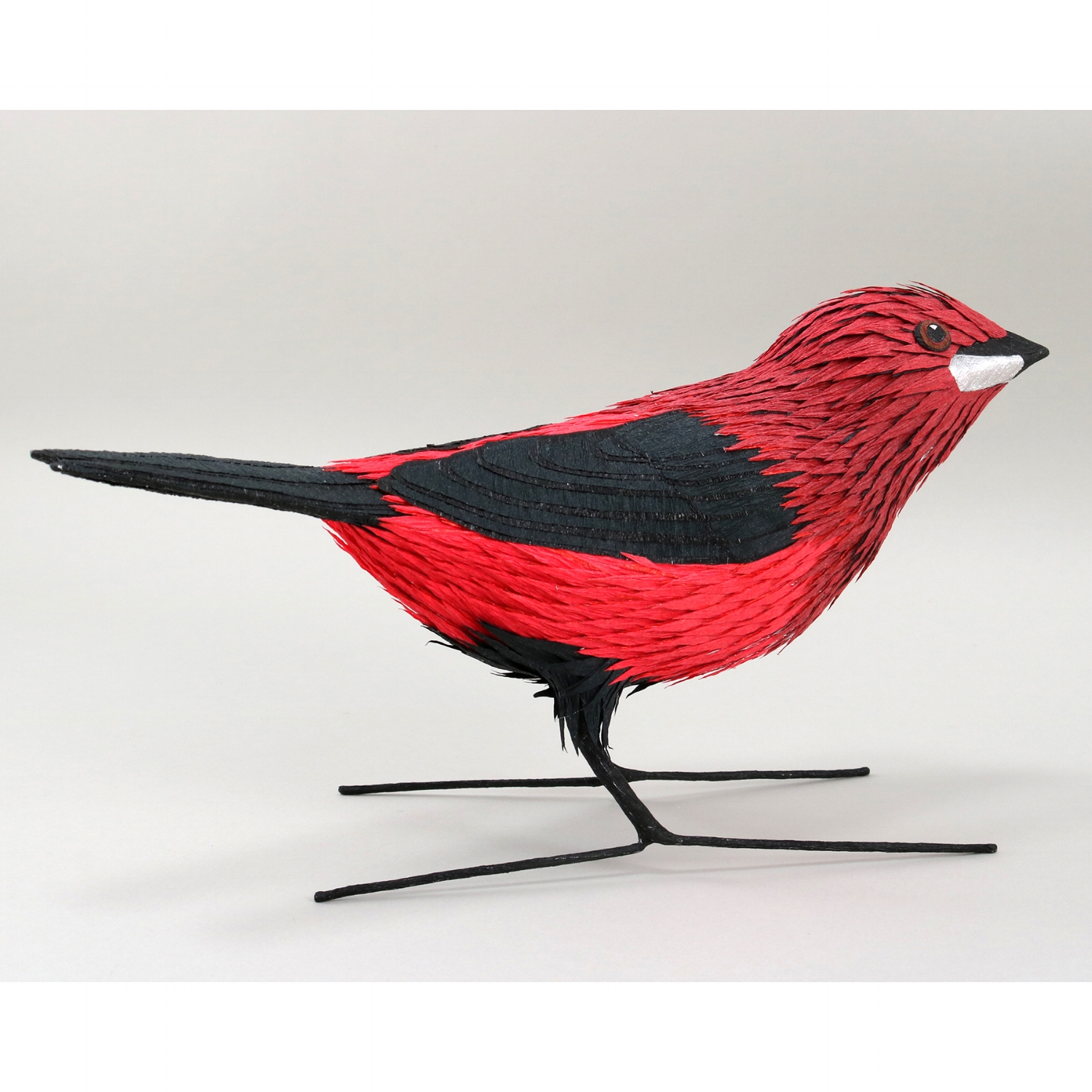 Crimson-backed Tanager