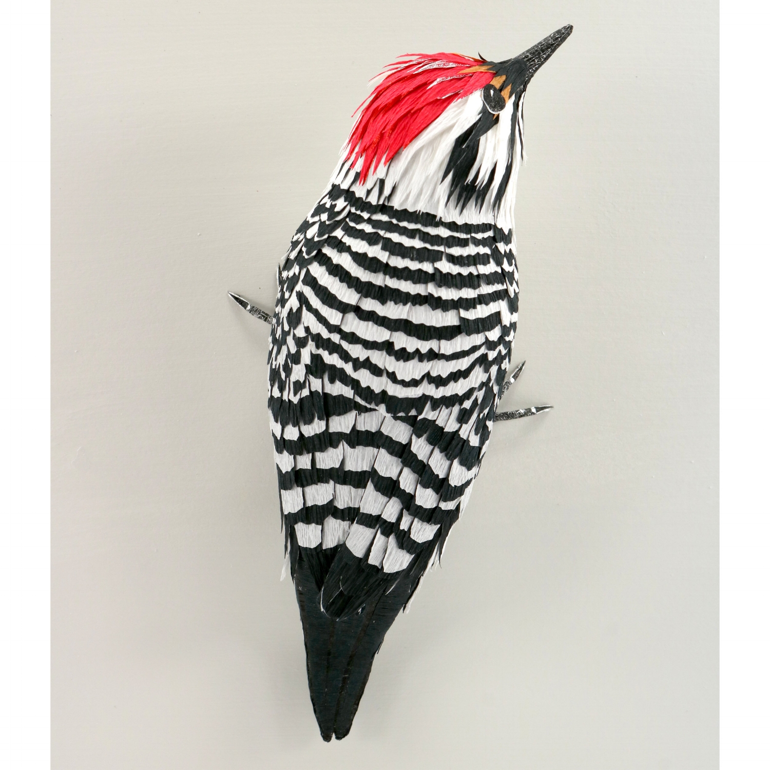 Ladder-backed Woodpecker