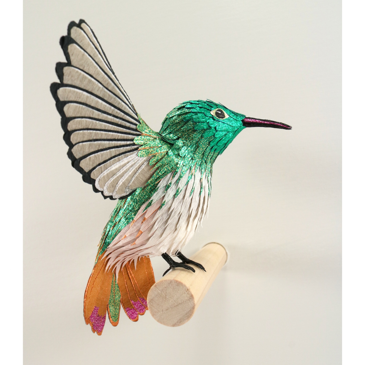 Buff-bellied Hummingbird