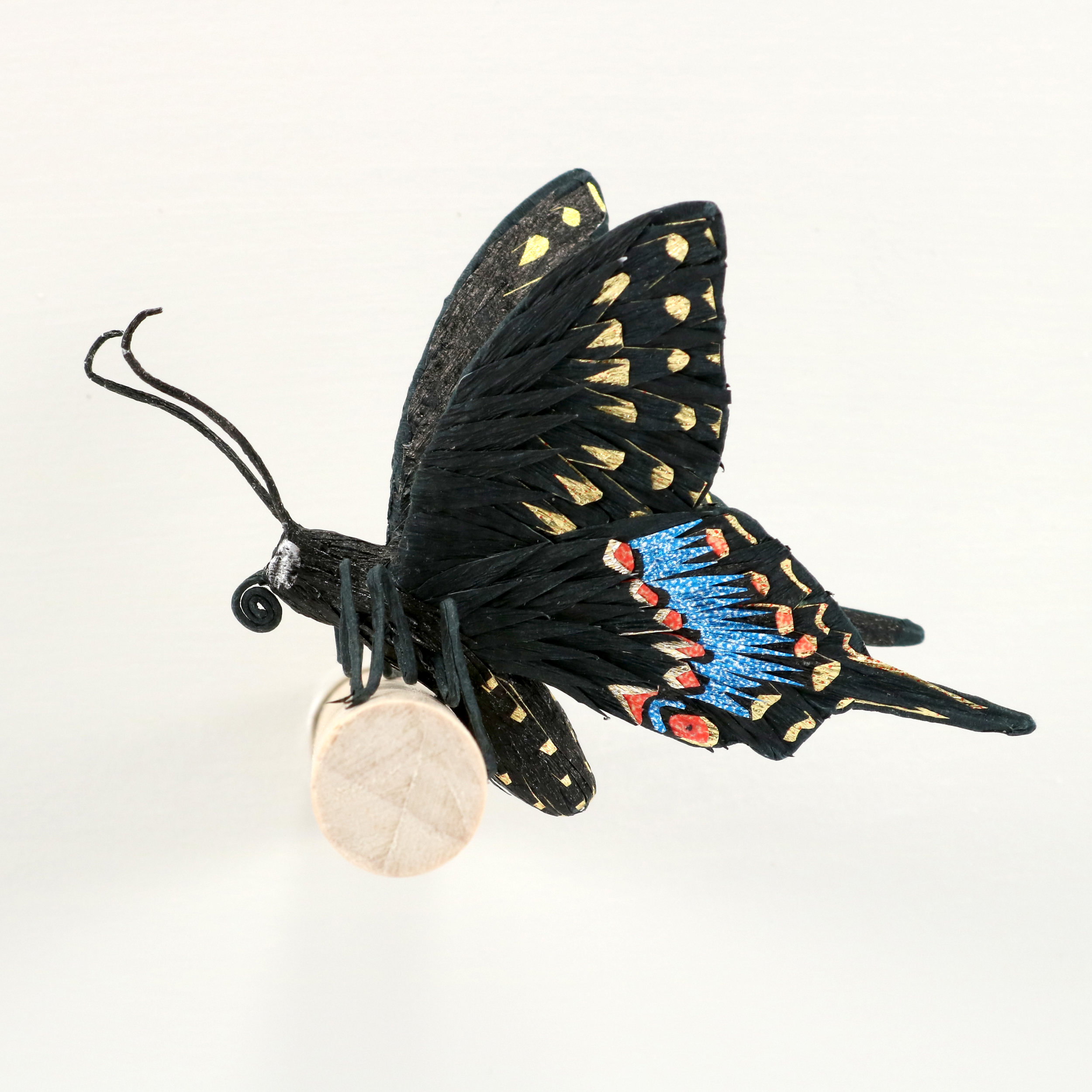 Tate - Black Swallowtail.jpg