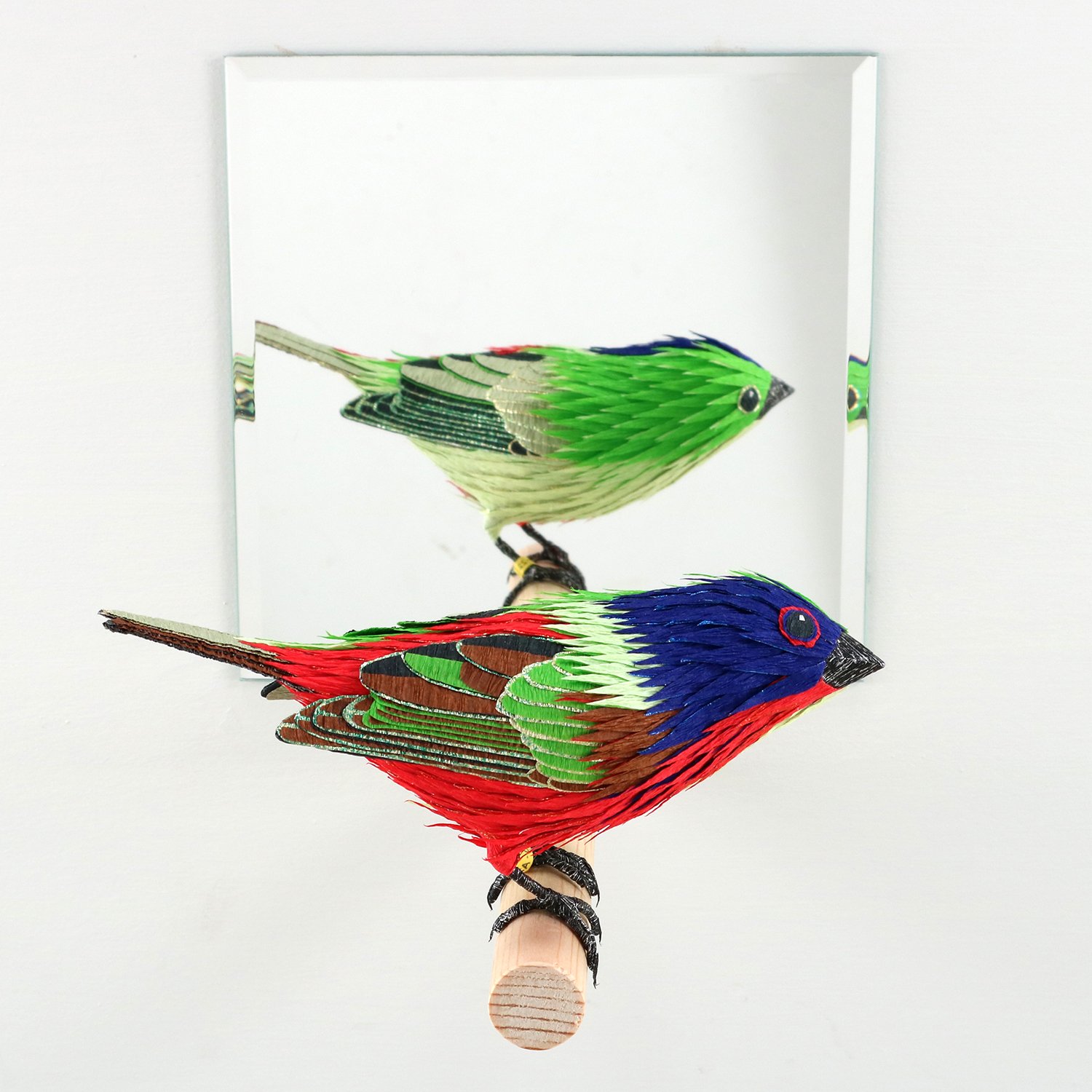 Gynandromorph - Painted Bunting 2.jpg