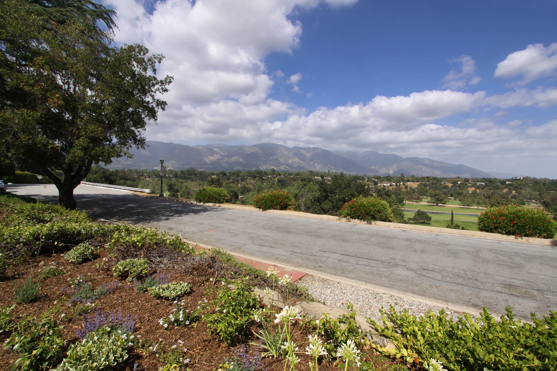 MLS_5_FrontYard.jpg