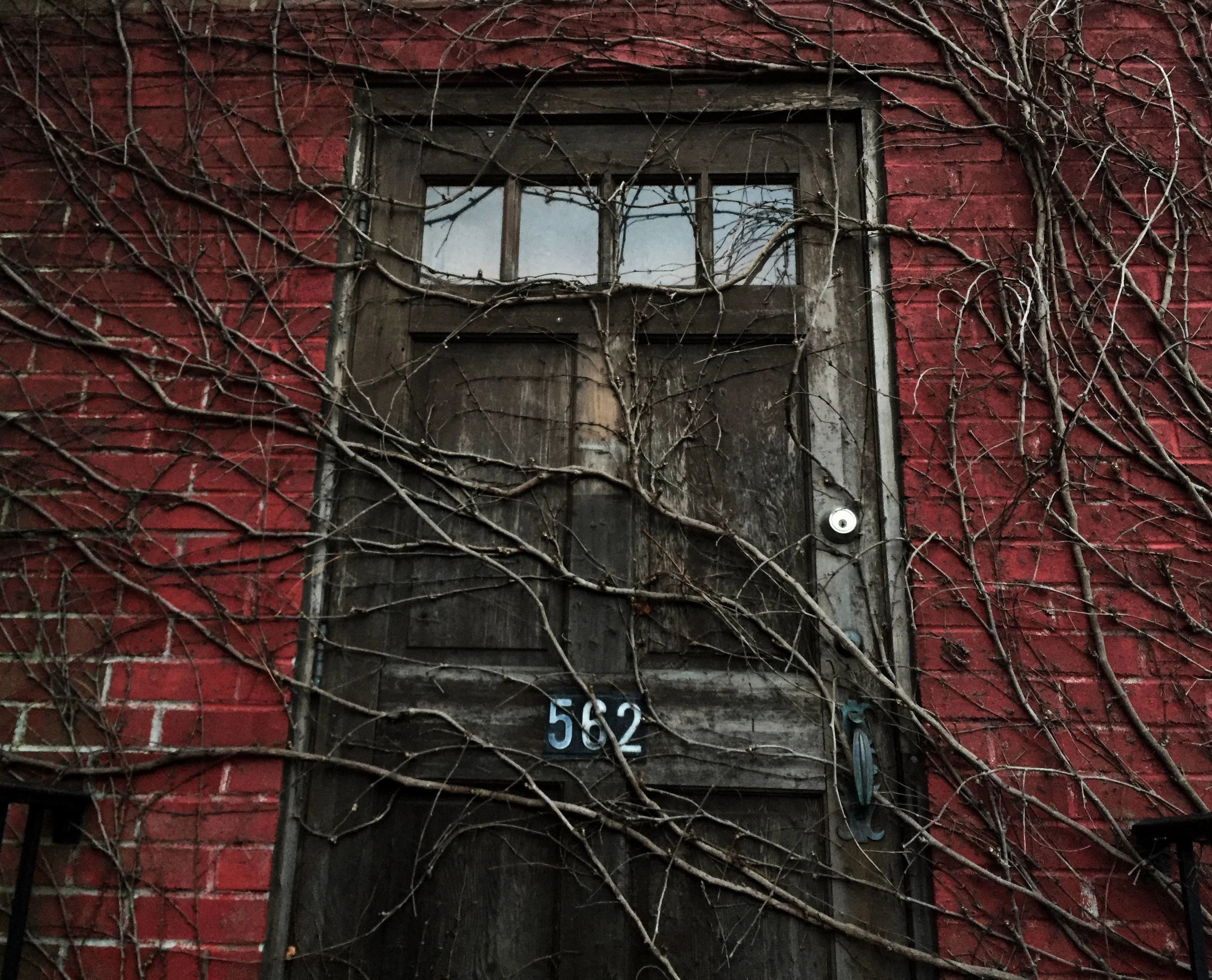 the door.jpg
