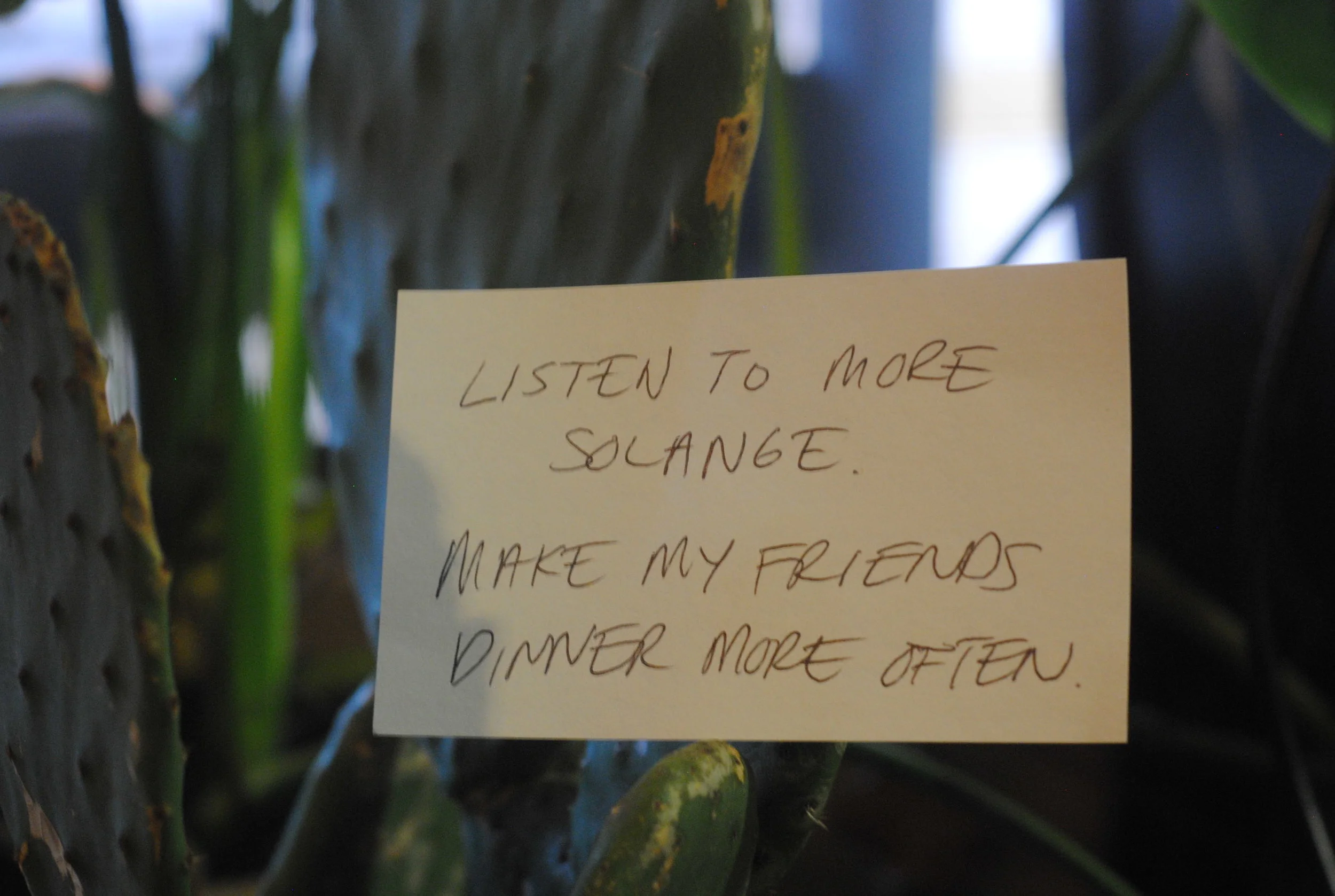 Looking Back & Moving Forward