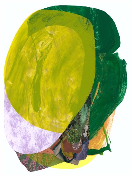 Here where the tree leaves have prisms , 2017