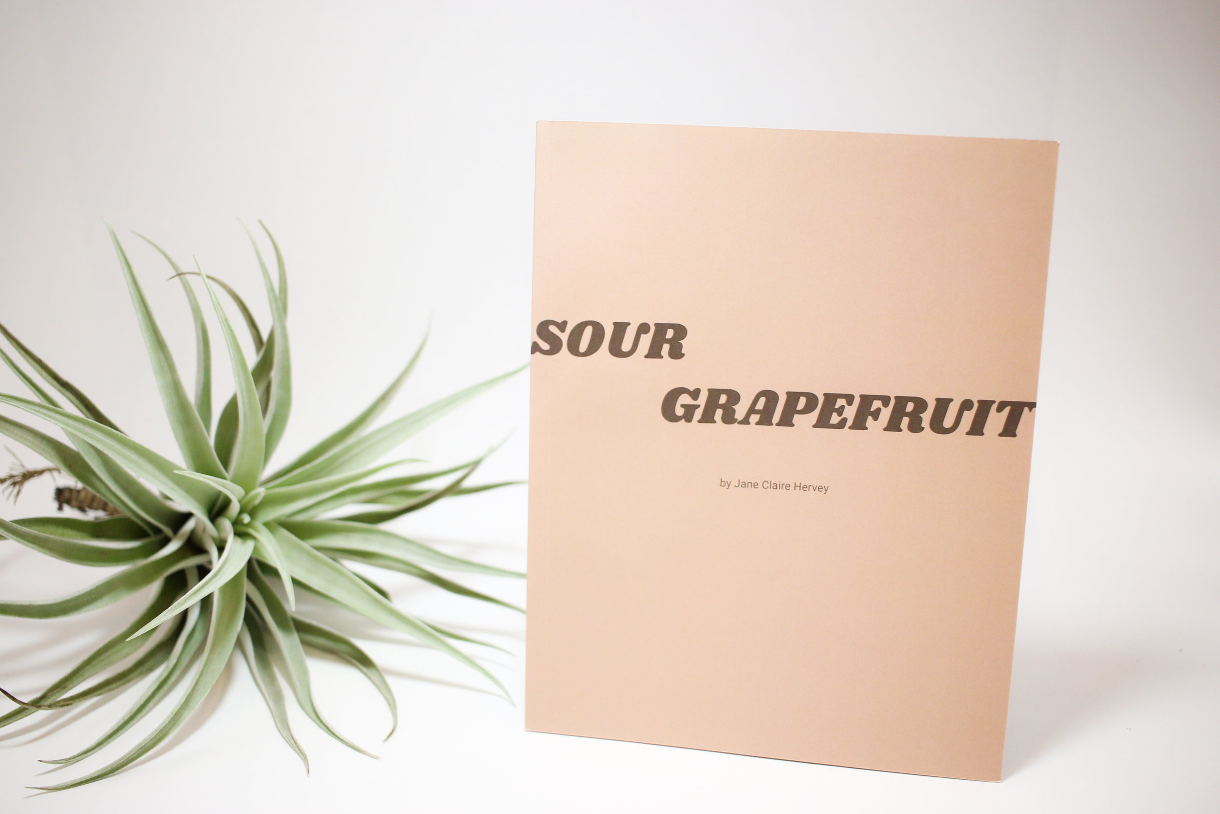 Sour Grapefruit: The Zine