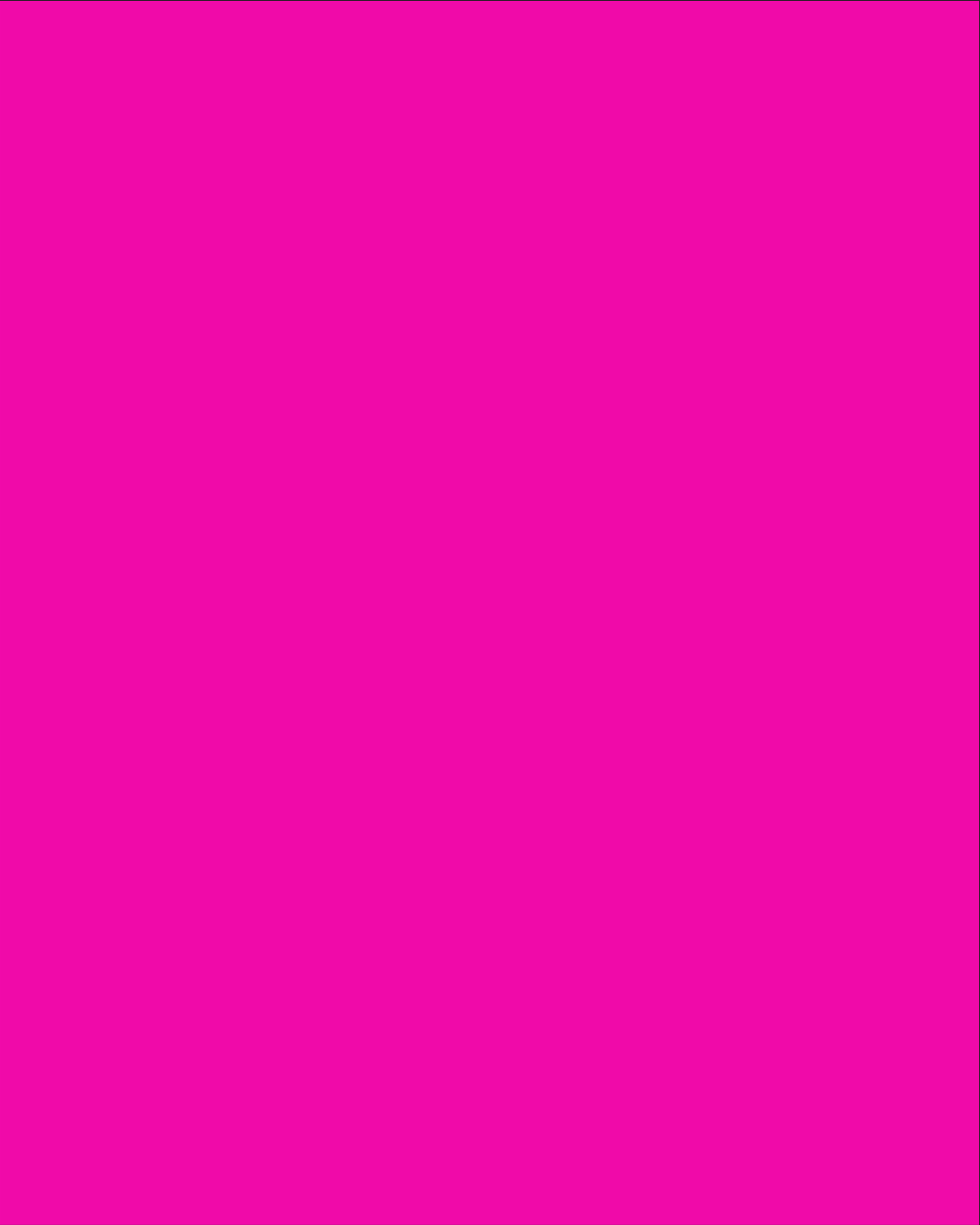 TFM_fallhotpink-2.png