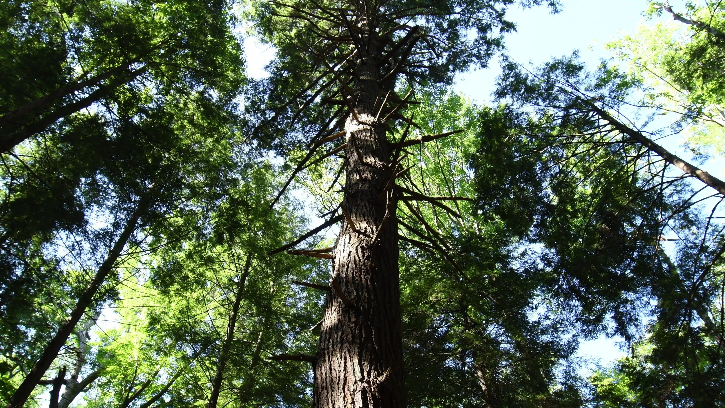 WEF_1004-00000324.jpg