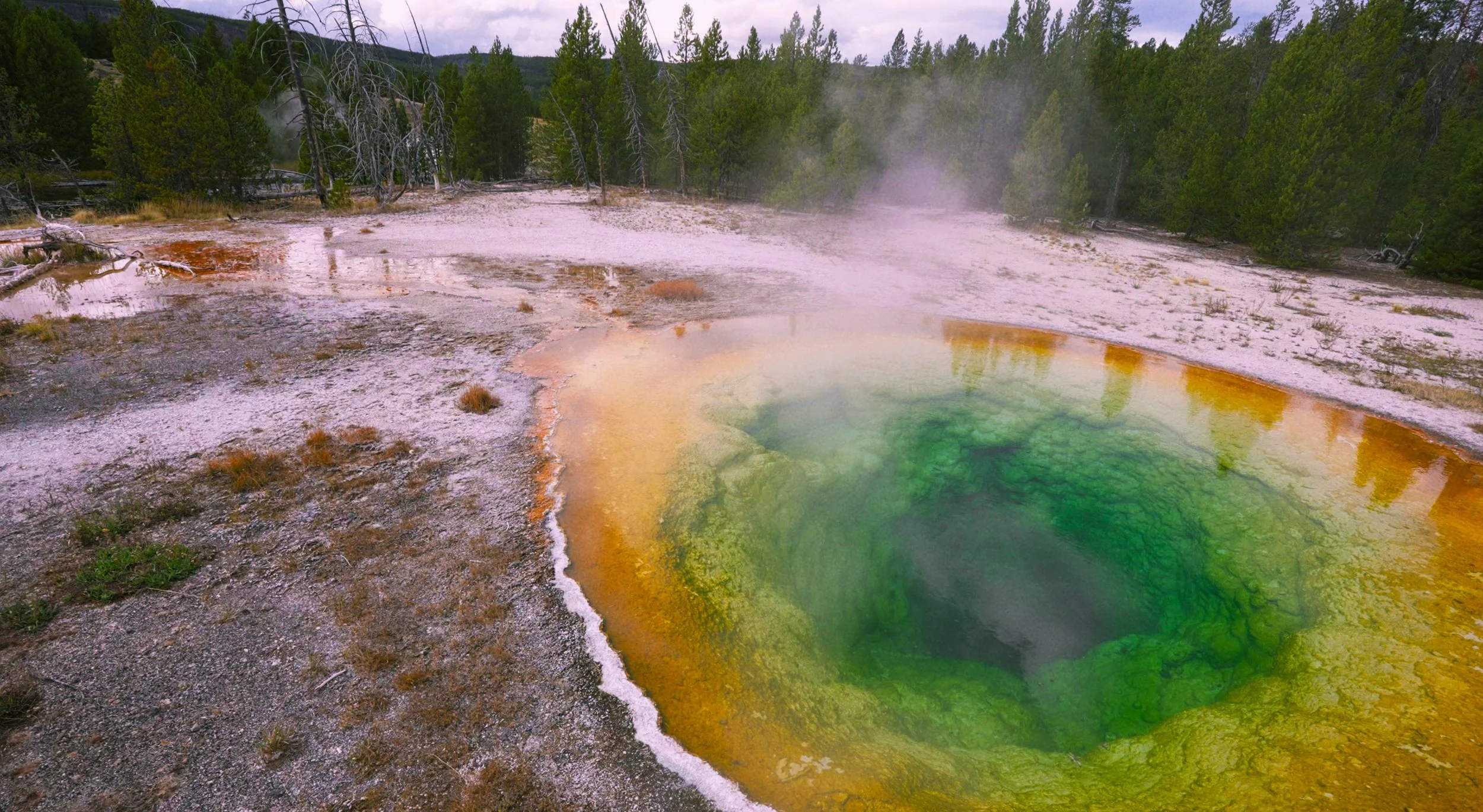 Morning Glory YNP.jpg