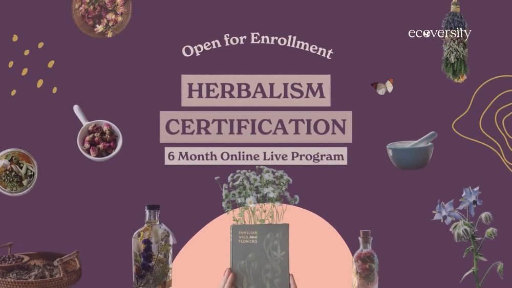 Ecoversity: Herbalism Masterclass
