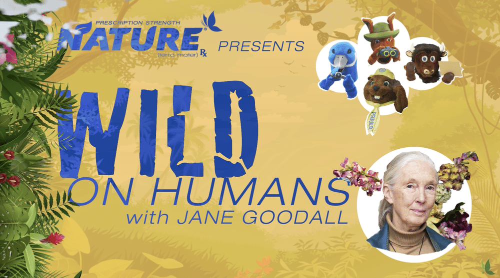 Wild on Humans with Jane Goodall