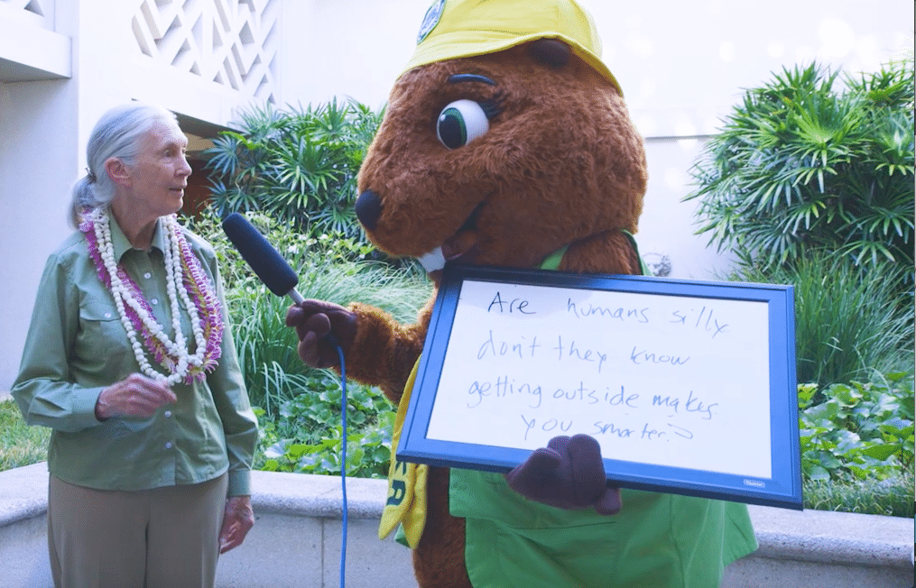 op-Screen+Shot+2017-04-13+at+4.36.11+PM (1).png