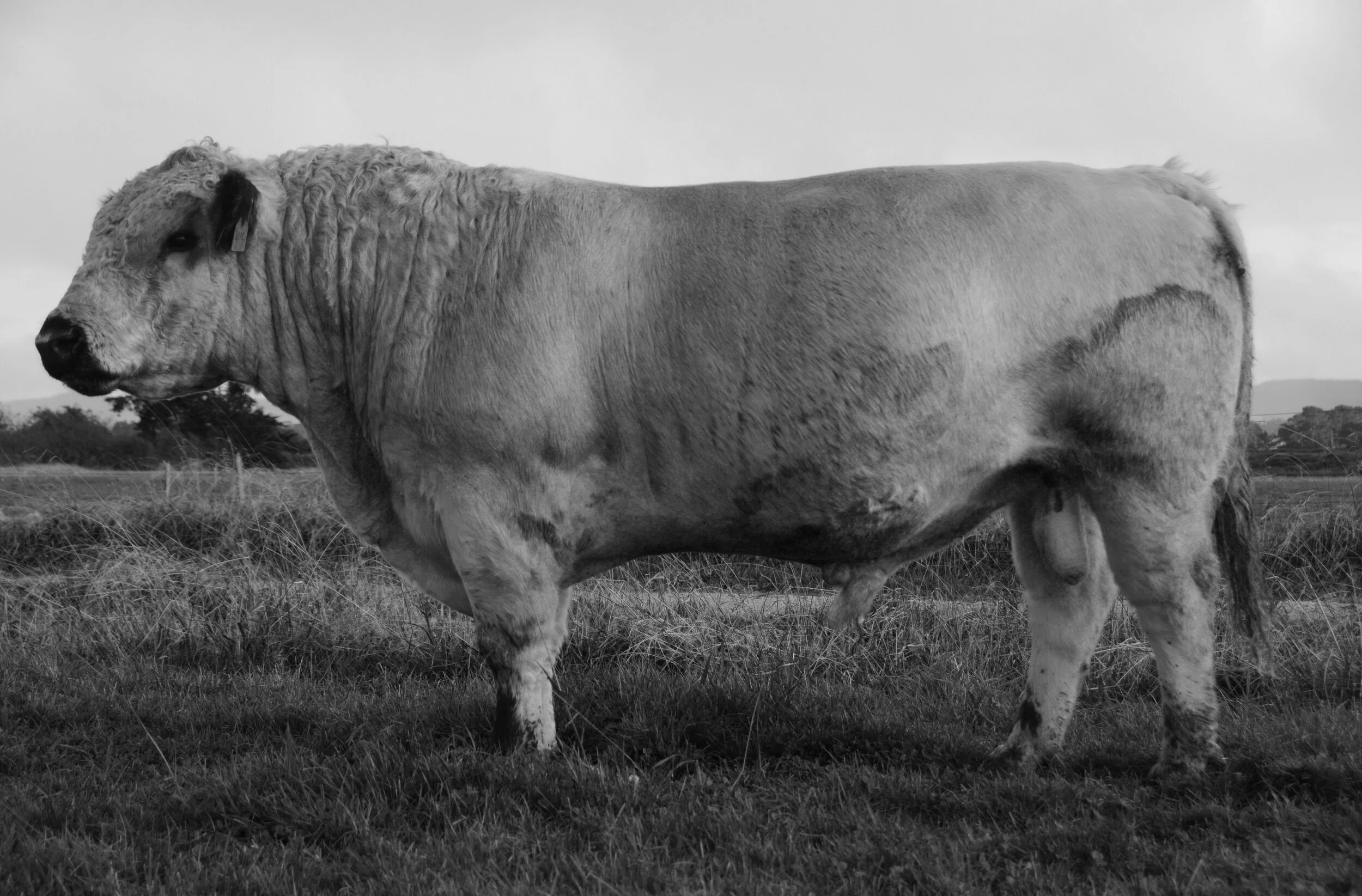   BELOW SEA LEVEL MODERN LOVE   SPKNZ JURRASIC J3  X  SPKNZ J48 