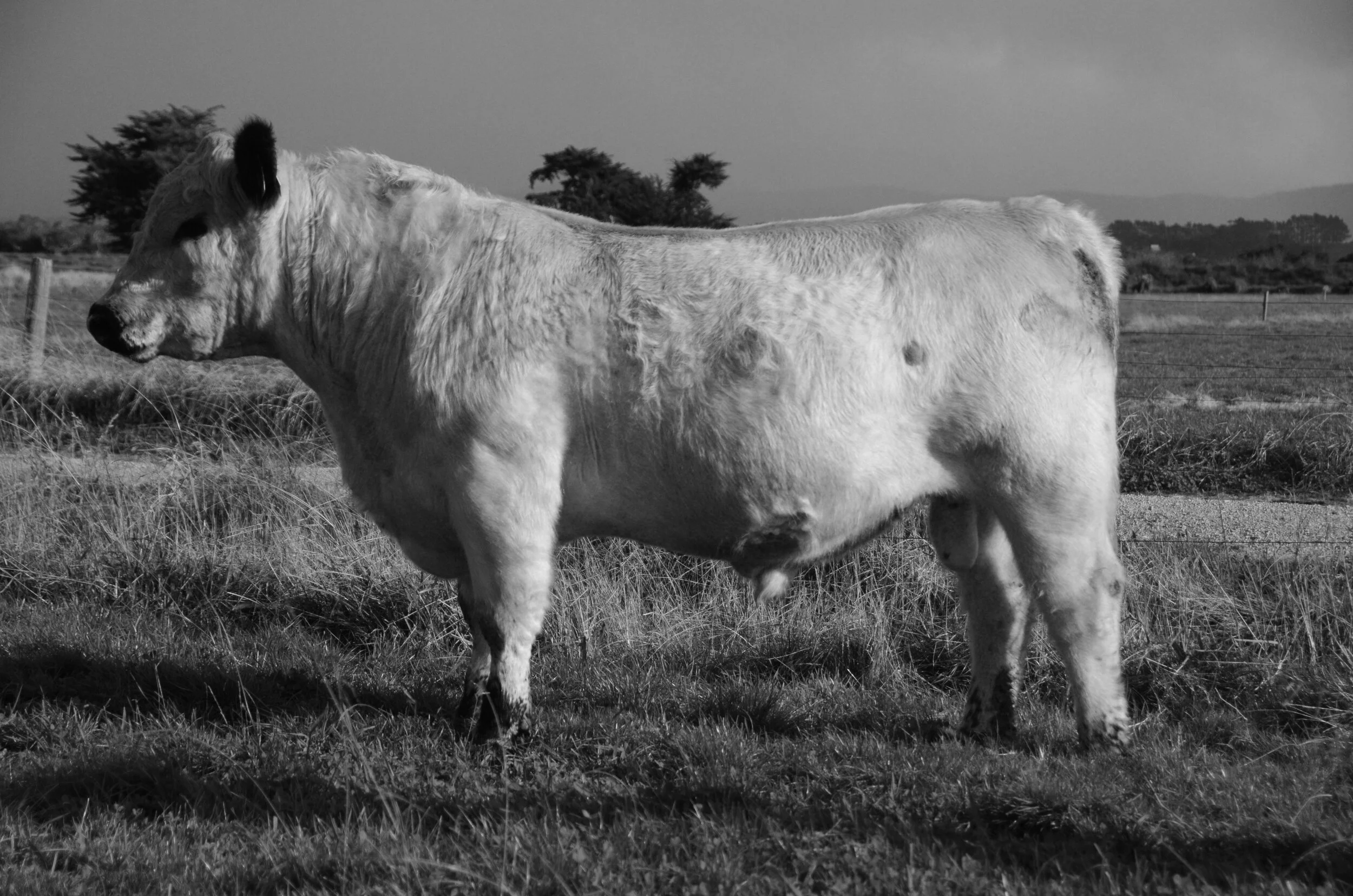   BELOW SEA LEVEL NEVADA   SPKNZ EXTREME E27  X  SPKNZ SPN F21 