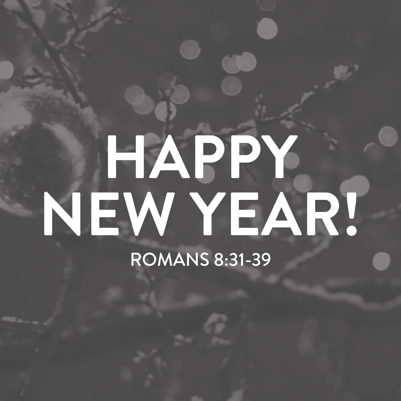 December 30, 2018 (AM)