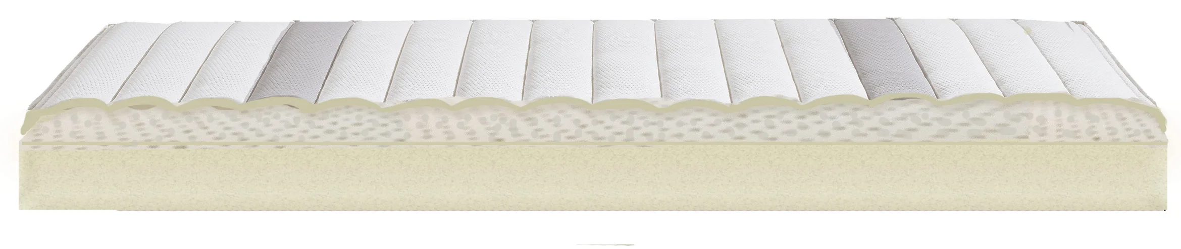 Quattroflex-Latex.jpg