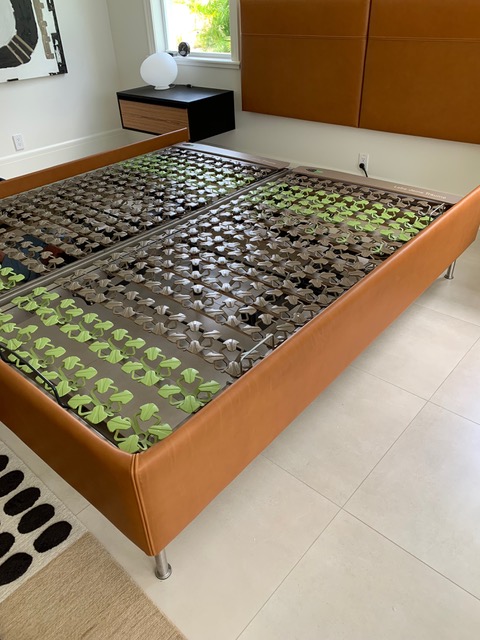 Austroflex 3 motor adjustable bed system