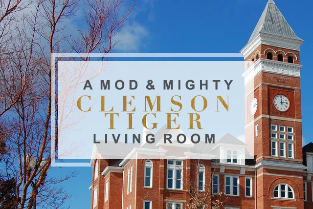 A COLORFUL CLEMSON LIVING ROOM