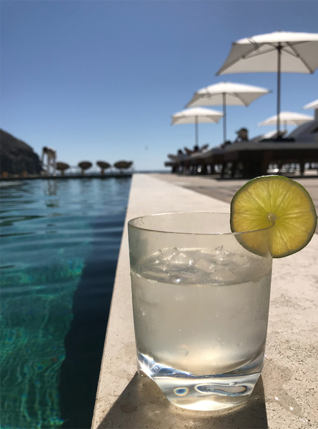Marg.jpg