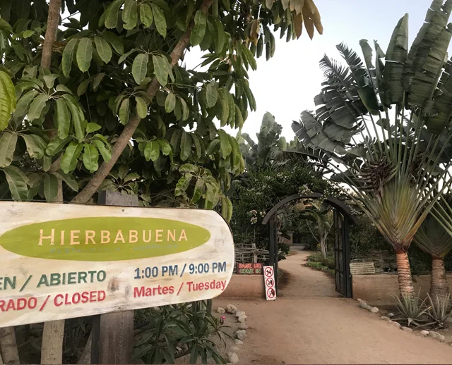 hierbabuena.jpg