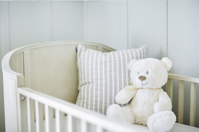 Baby Boys Designer Teddy Bear
