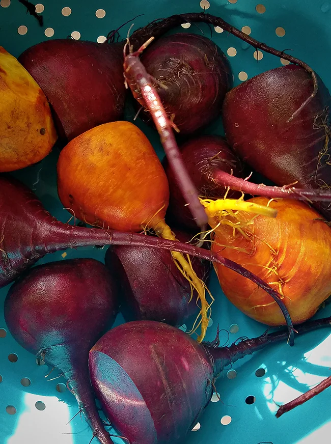 roast-beet-salad02.jpg