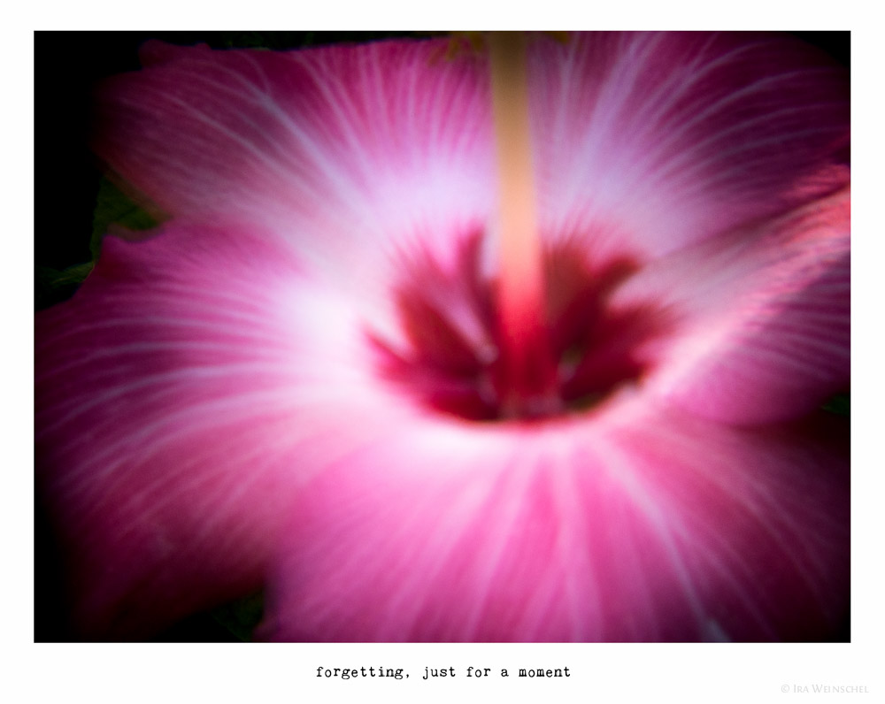 frame8.jpg