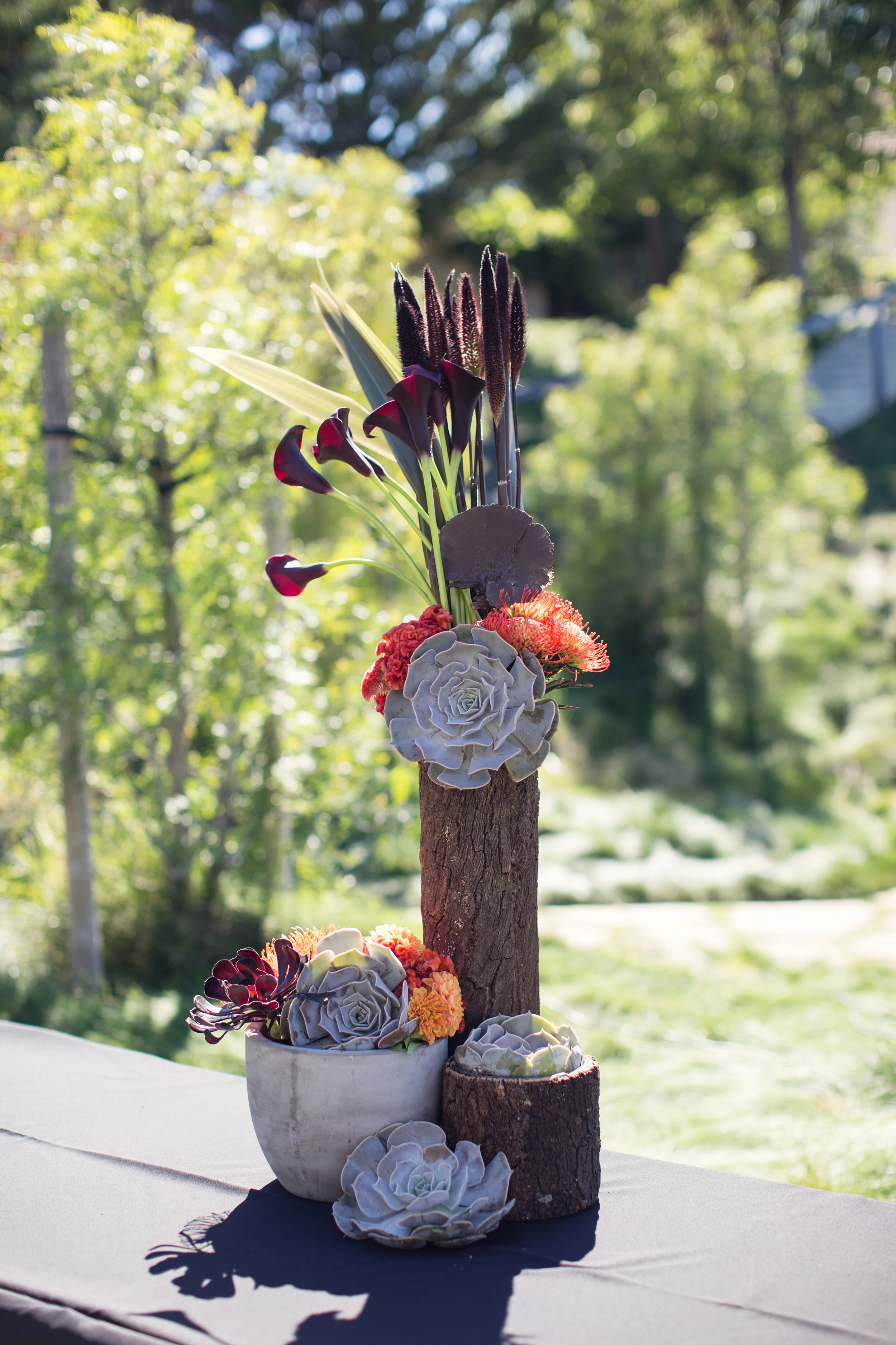 Reina Car Show Week-0014.jpg