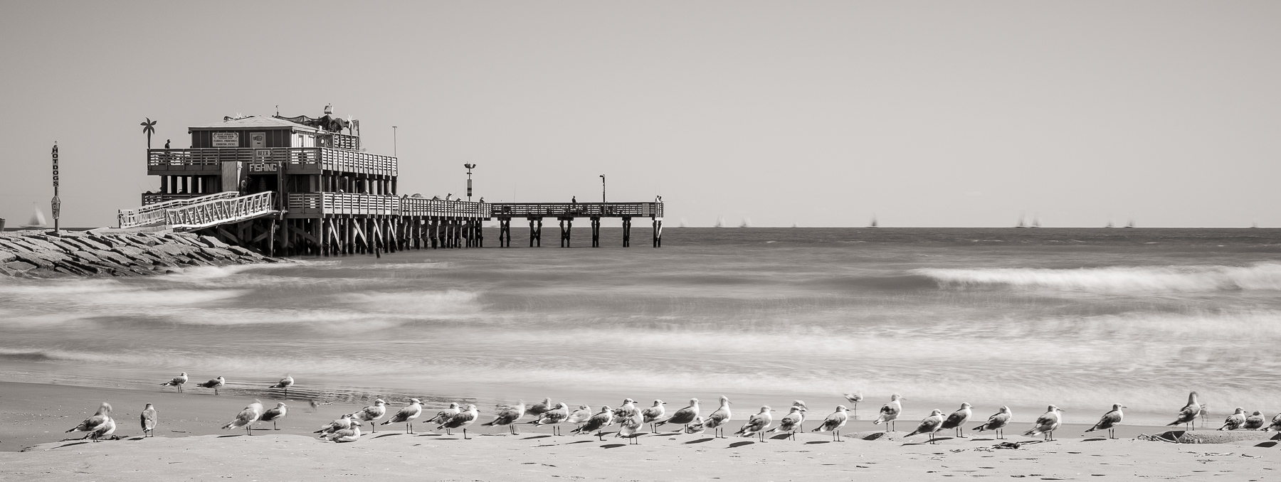 61st Street Pier and Seagulls