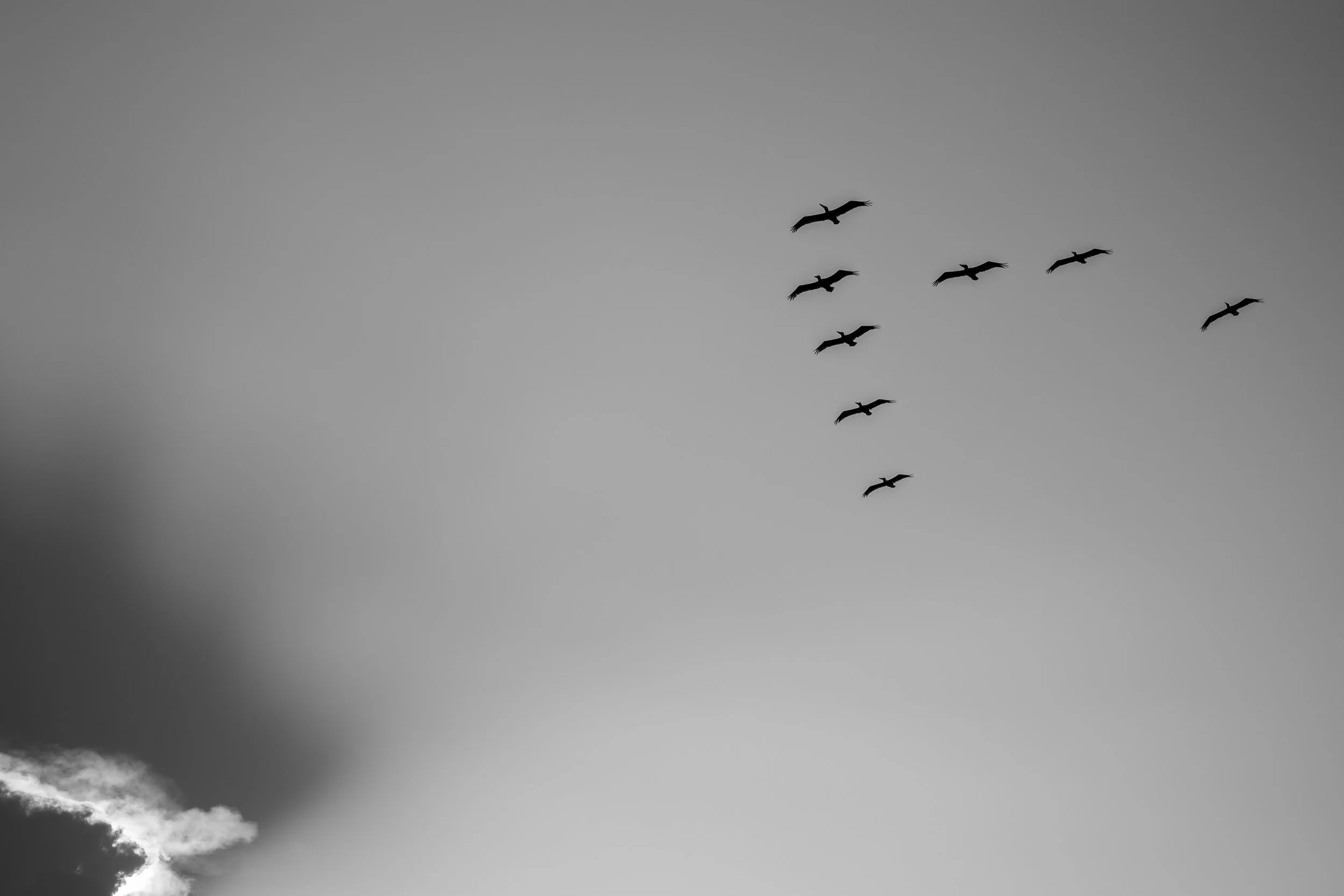 Five and Three