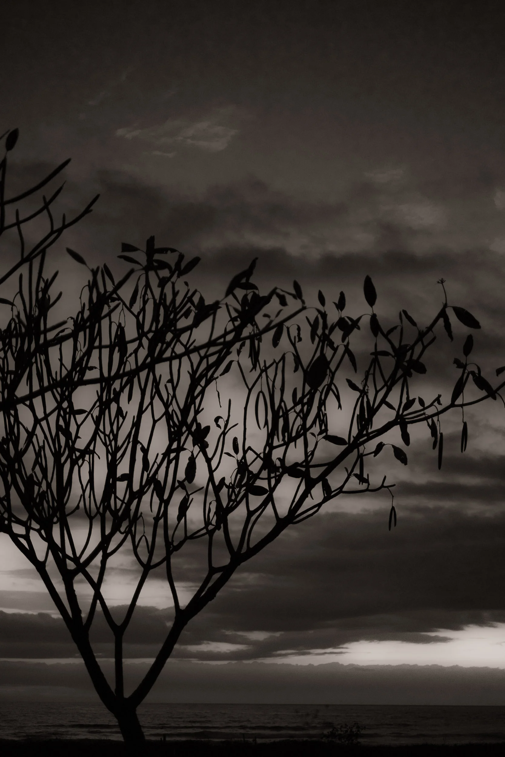 JohnMillerPhotography-SquareSpace-0550.jpg