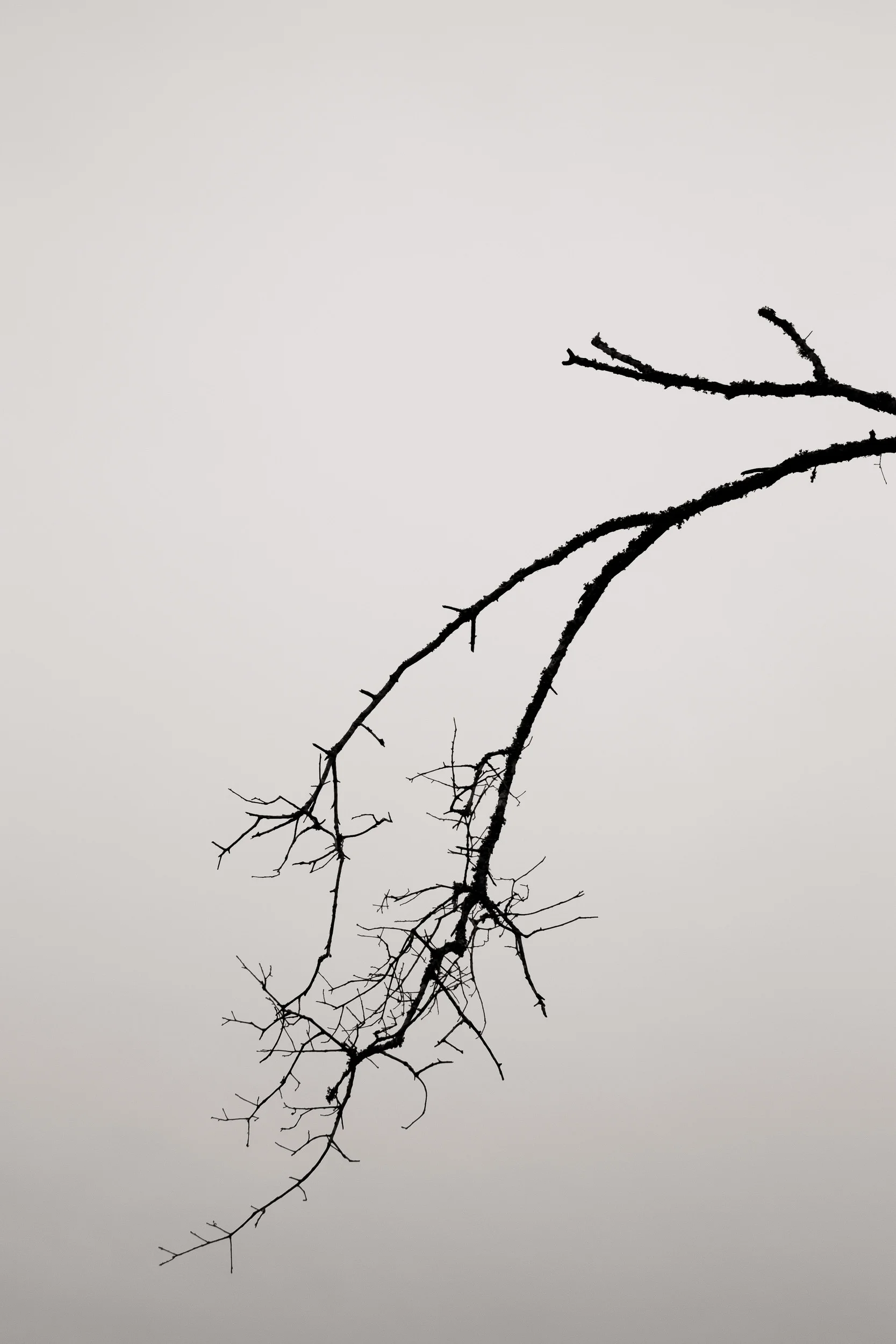 JohnMillerPhotography-SquareSpace-1419.jpg