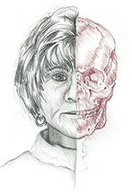 Carlisle illustration; skeleton, after Leonardo Davinci