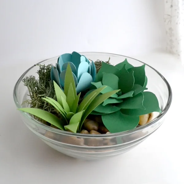 terrarium 3.jpg