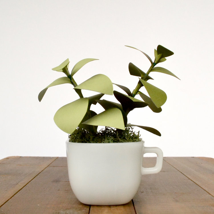 Paper Acorn - Potted Plant (small)