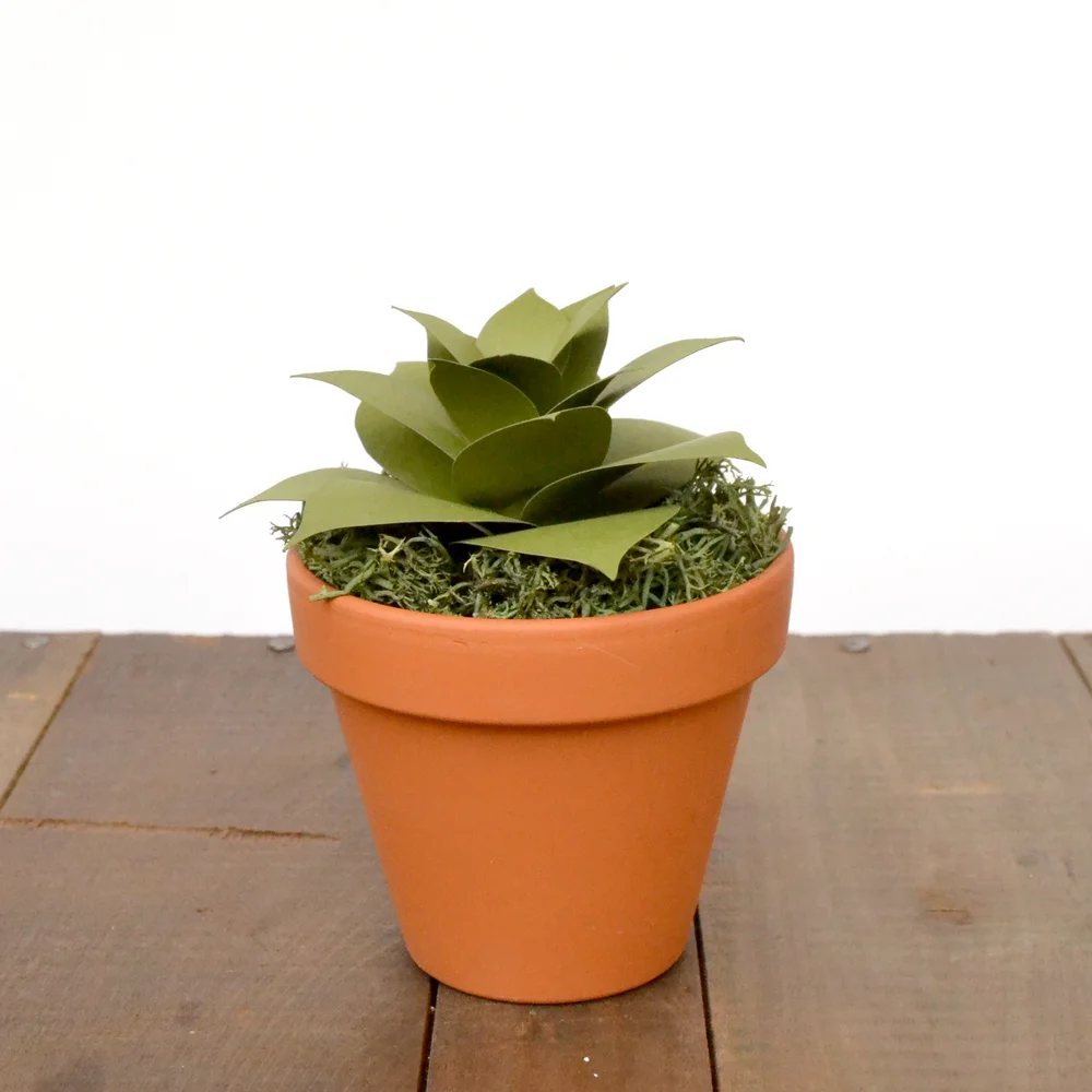 cedarcraft self-watering planter Self-Watering Cedar Planter (22