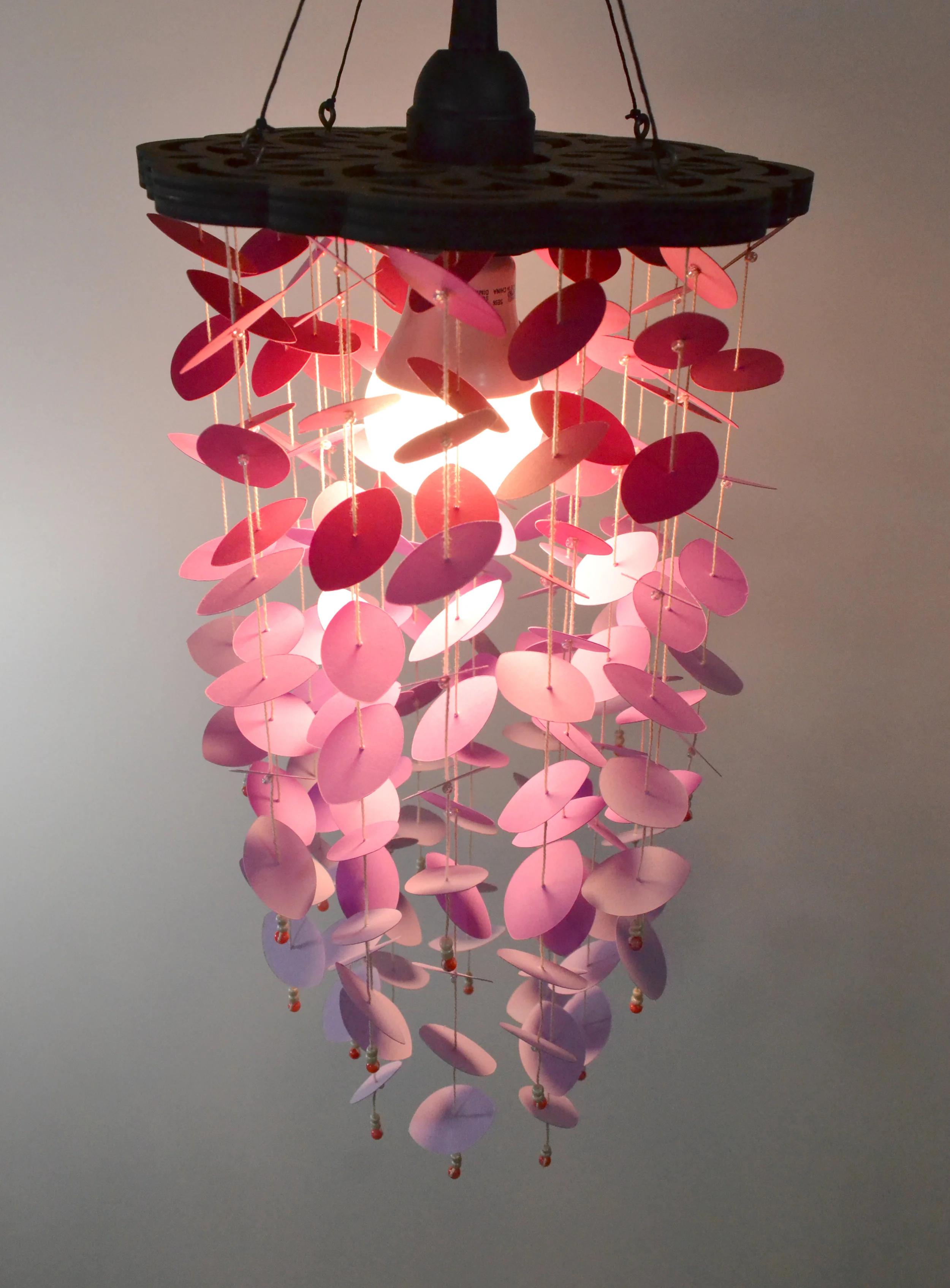 pink petals (2).JPG
