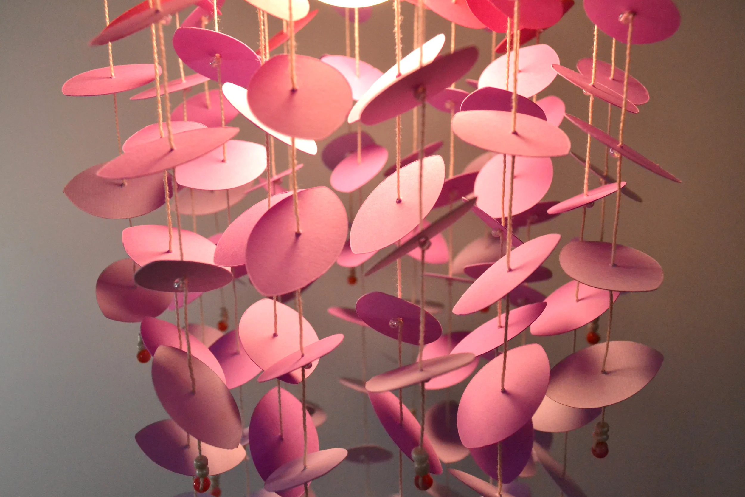 pink petals (1).JPG