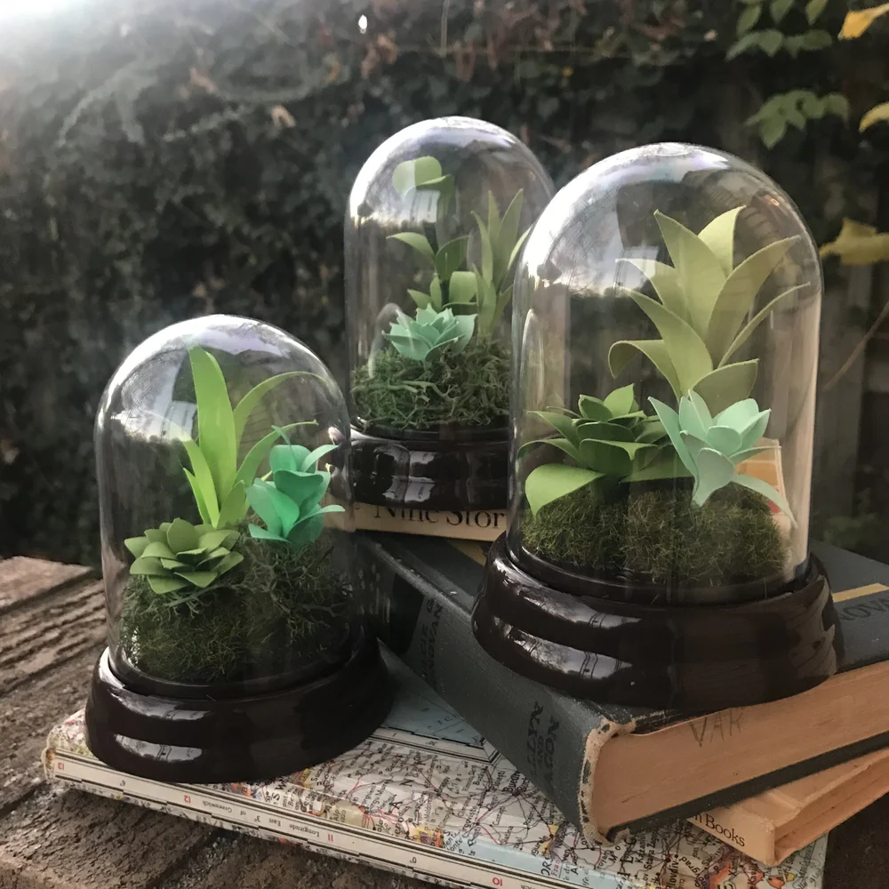 Cloche Bell Jar - Paper Acorn