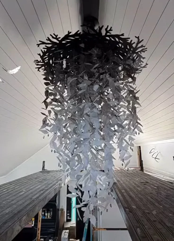 robyns nest screenshot.jpg